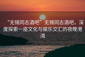 “無錫同志酒吧”無錫同志酒吧，深度探索一座文化與娛樂交匯的夜晚港灣
