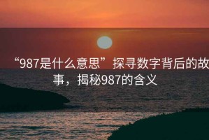 “987是什么意思”探尋數(shù)字背后的故事，揭秘987的含義