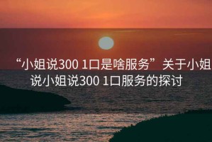“小姐說(shuō)300 1口是啥服務(wù)”關(guān)于小姐說(shuō)小姐說(shuō)300 1口服務(wù)的探討