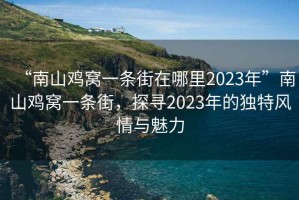“南山雞窩一條街在哪里2023年”南山雞窩一條街，探尋2023年的獨特風(fēng)情與魅力