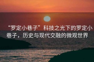 “羅定小巷子”科技之光下的羅定小巷子，歷史與現代交融的微觀世界