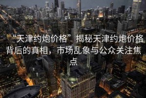 “天津約炮價(jià)格”揭秘天津約炮價(jià)格背后的真相，市場(chǎng)亂象與公眾關(guān)注焦點(diǎn)