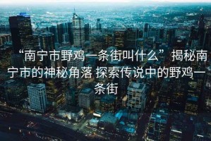 “南寧市野雞一條街叫什么”揭秘南寧市的神秘角落 探索傳說中的野雞一條街