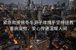 緊急救援徐冬冬尹子維攜手堅(jiān)持拯救重病寵物，愛心傳遞溫暖人間