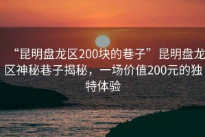 “昆明盤龍區(qū)200塊的巷子”昆明盤龍區(qū)神秘巷子揭秘，一場(chǎng)價(jià)值200元的獨(dú)特體驗(yàn)