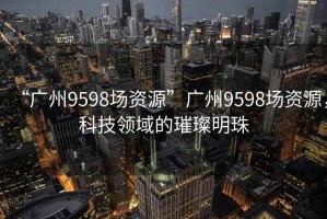 “廣州9598場(chǎng)資源”廣州9598場(chǎng)資源，科技領(lǐng)域的璀璨明珠
