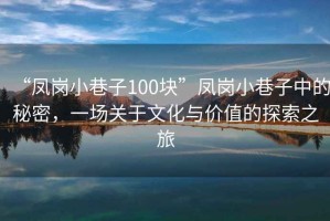 “鳳崗小巷子100塊”鳳崗小巷子中的秘密，一場關于文化與價值的探索之旅