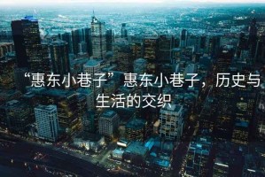 “惠東小巷子”惠東小巷子，歷史與生活的交織