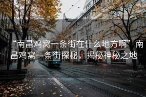 “南昌雞窩一條街在什么地方啊”南昌雞窩一條街探秘，揭秘神秘之地