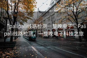 “palipali線路檢測(cè)一整晚電子”Palipali線路檢測(cè)，一整晚電子科技之旅
