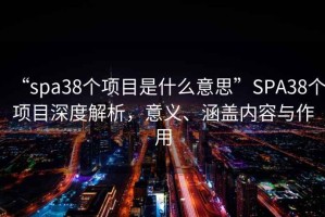 “spa38個項目是什么意思”SPA38個項目深度解析，意義、涵蓋內(nèi)容與作用