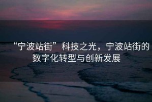 “寧波站街”科技之光，寧波站街的數(shù)字化轉(zhuǎn)型與創(chuàng)新發(fā)展