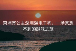 柬埔寨公主深圳遛電子狗，一場意想不到的趣味之旅