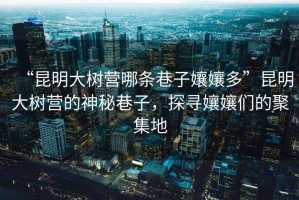 “昆明大樹營哪條巷子孃孃多”昆明大樹營的神秘巷子，探尋孃孃們的聚集地