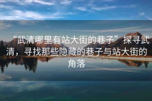 “武清哪里有站大街的巷子”探尋武清，尋找那些隱藏的巷子與站大街的角落