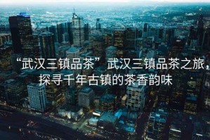 “武漢三鎮(zhèn)品茶”武漢三鎮(zhèn)品茶之旅，探尋千年古鎮(zhèn)的茶香韻味
