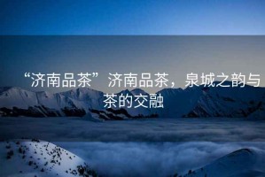 “濟(jì)南品茶”濟(jì)南品茶，泉城之韻與茶的交融