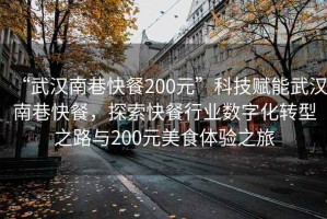 “武漢南巷快餐200元”科技賦能武漢南巷快餐，探索快餐行業(yè)數(shù)字化轉(zhuǎn)型之路與200元美食體驗之旅