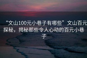 “文山100元小巷子有哪些”文山百元探秘，揭秘那些令人心動的百元小巷子