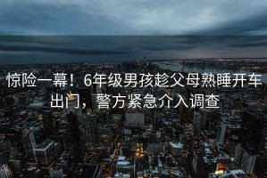 驚險一幕！6年級男孩趁父母熟睡開車出門，警方緊急介入調(diào)查