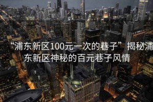 “浦東新區(qū)100元一次的巷子”揭秘浦東新區(qū)神秘的百元巷子風(fēng)情
