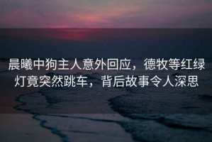 晨曦中狗主人意外回應(yīng)，德牧等紅綠燈竟突然跳車，背后故事令人深思