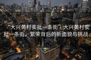 “大興黃村賣批一條街”大興黃村賣批一條街，繁榮背后的新面貌與挑戰(zhàn)
