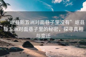 “岷縣新五洲對(duì)面巷子里沒有”岷縣新五洲對(duì)面巷子里的秘密，探尋真相與變遷