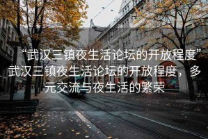 “武漢三鎮(zhèn)夜生活論壇的開(kāi)放程度”武漢三鎮(zhèn)夜生活論壇的開(kāi)放程度，多元交流與夜生活的繁榮