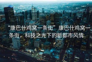“康巴什雞窩一條街”康巴什雞窩一條街，科技之光下的新都市風(fēng)情