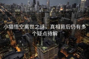 小貓悟空離世之謎，真相背后仍有多個疑點待解