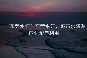 “東莞水匯”東莞水匯，城市水資源的匯聚與利用