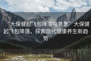 “大保健起飛包降落啥意思”大保健起飛包降落，探索現(xiàn)代健康養(yǎng)生新趨勢(shì)