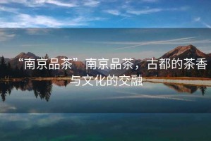 “南京品茶”南京品茶，古都的茶香與文化的交融