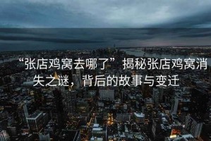 “張店雞窩去哪了”揭秘張店雞窩消失之謎，背后的故事與變遷