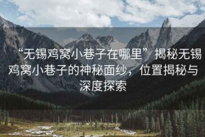 “無錫雞窩小巷子在哪里”揭秘無錫雞窩小巷子的神秘面紗，位置揭秘與深度探索