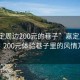 “嘉定周邊200元的巷子”嘉定周邊探秘，200元體驗(yàn)巷子里的風(fēng)情萬(wàn)種