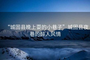 “城固縣晚上耍的小巷子”城固縣夜巷的醉人風情