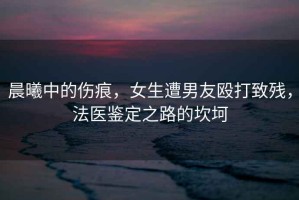 晨曦中的傷痕，女生遭男友毆打致殘，法醫(yī)鑒定之路的坎坷