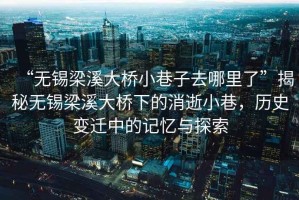 “無(wú)錫梁溪大橋小巷子去哪里了”揭秘?zé)o錫梁溪大橋下的消逝小巷，歷史變遷中的記憶與探索