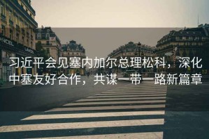 習(xí)近平會(huì)見塞內(nèi)加爾總理松科，深化中塞友好合作，共謀一帶一路新篇章