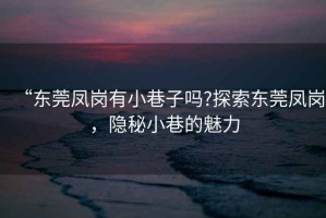 “東莞鳳崗有小巷子嗎?探索東莞鳳崗，隱秘小巷的魅力