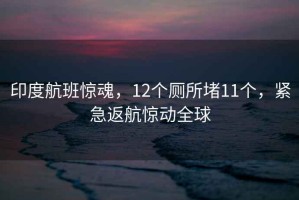 印度航班驚魂，12個(gè)廁所堵11個(gè)，緊急返航驚動(dòng)全球