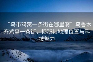 “烏市雞窩一條街在哪里啊”烏魯木齊雞窩一條街，揭秘其地理位置與科技魅力