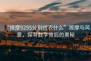 “按摩9295分別代表什么”按摩與風(fēng)景，探尋數(shù)字背后的奧秘