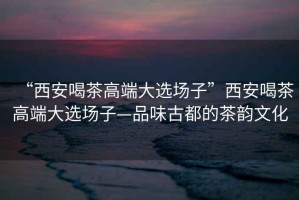 “西安喝茶高端大選場子”西安喝茶高端大選場子—品味古都的茶韻文化
