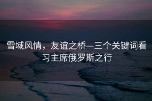 雪域風情，友誼之橋—三個關(guān)鍵詞看習主席俄羅斯之行