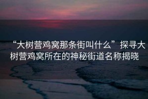 “大樹營雞窩那條街叫什么”探尋大樹營雞窩所在的神秘街道名稱揭曉