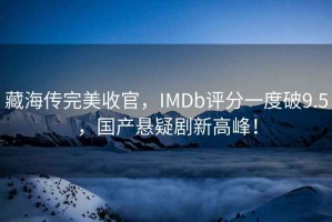 藏海傳完美收官，IMDb評分一度破9.5，國產(chǎn)懸疑劇新高峰！
