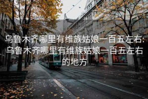 烏魯木齊哪里有維族姑娘一百五左右:烏魯木齊哪里有維族姑娘一百五左右的地方